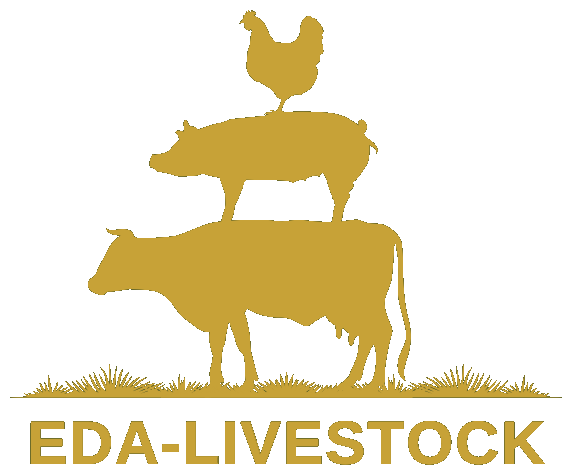 EDA LIVESTOCK
